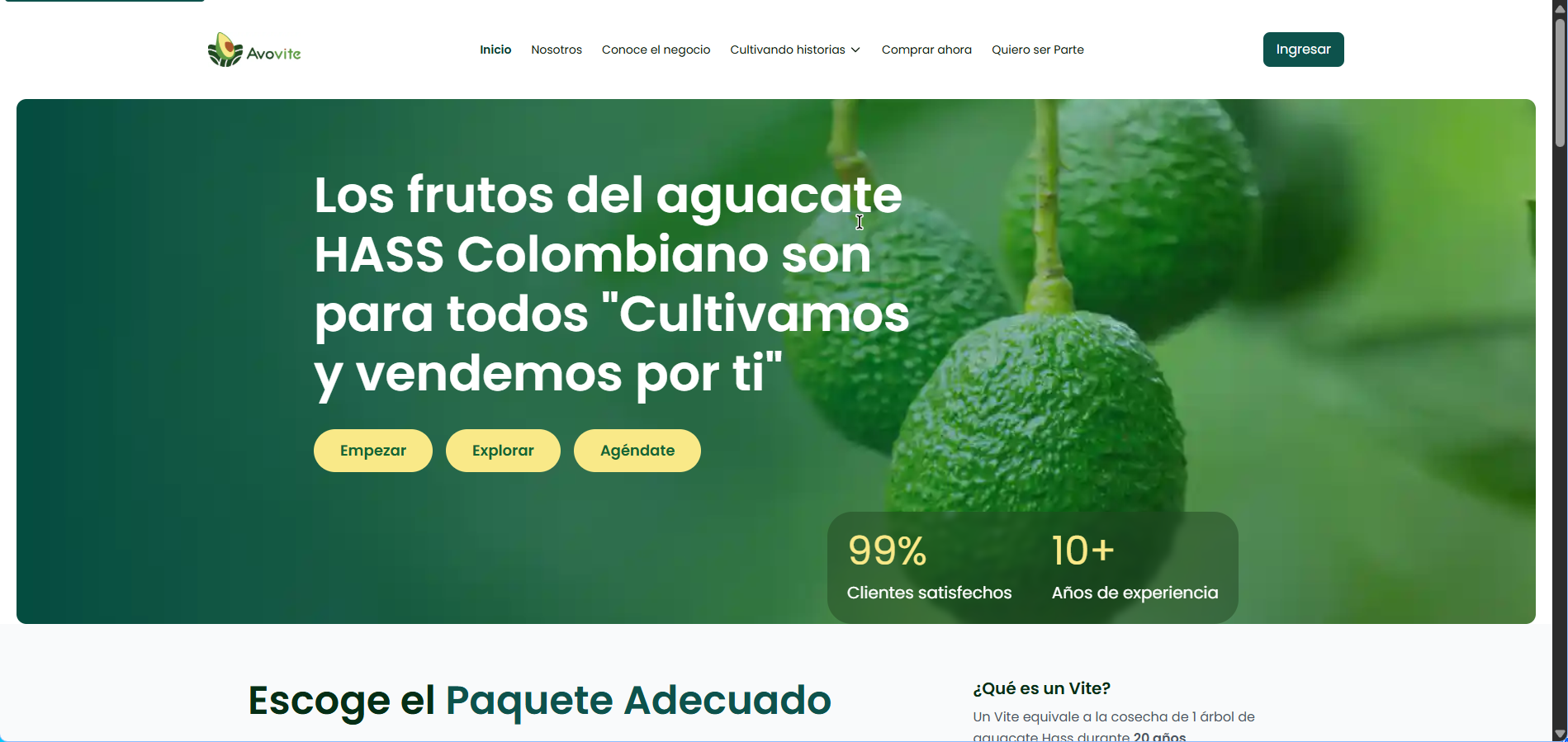 Avovite